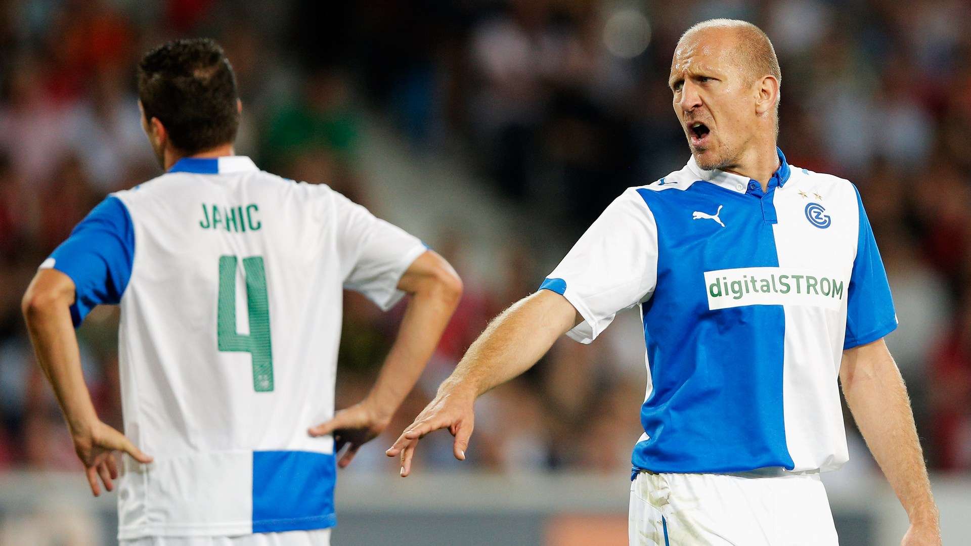 定向运动 定向运动