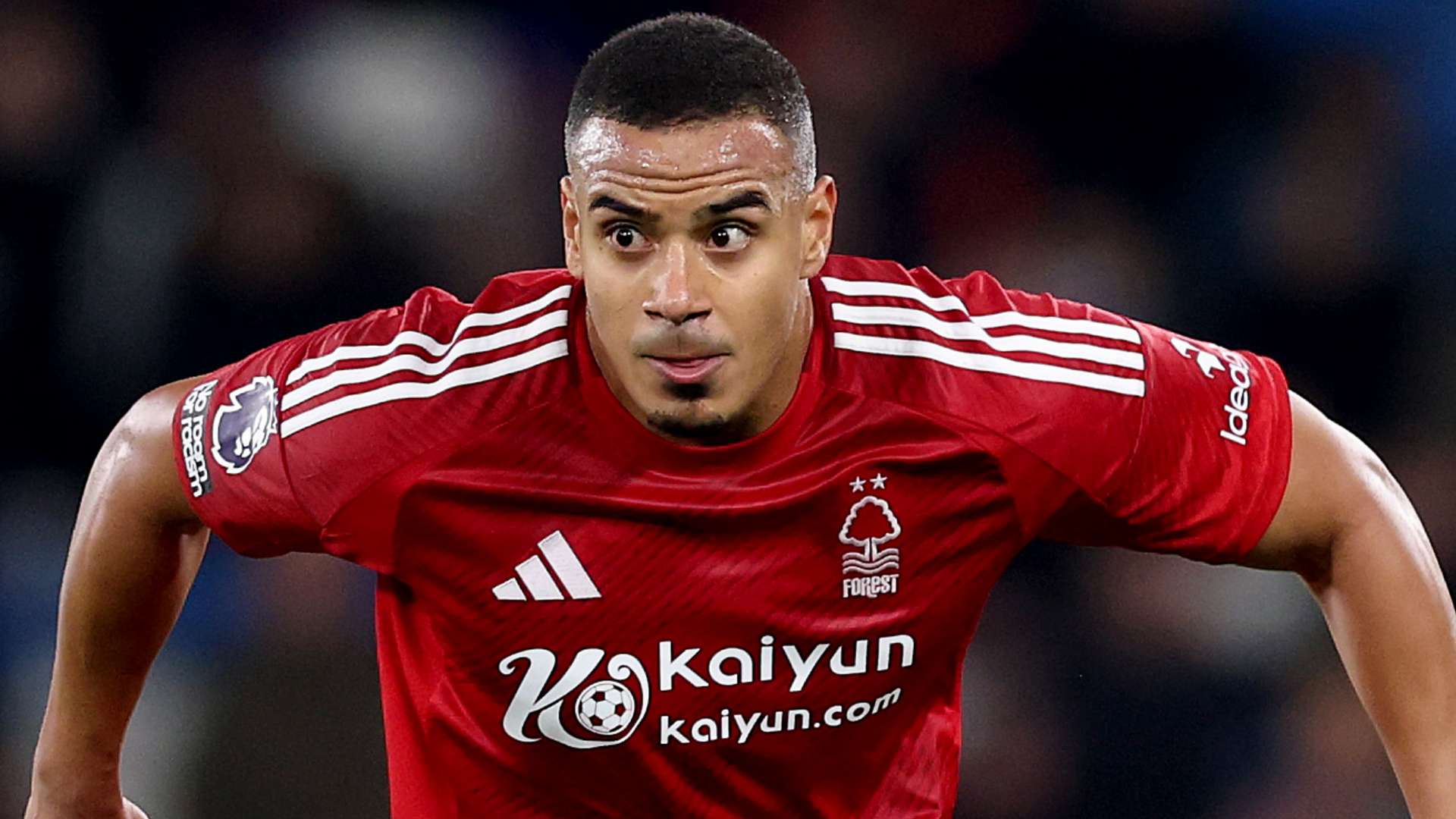 但他的影響 但他的影響