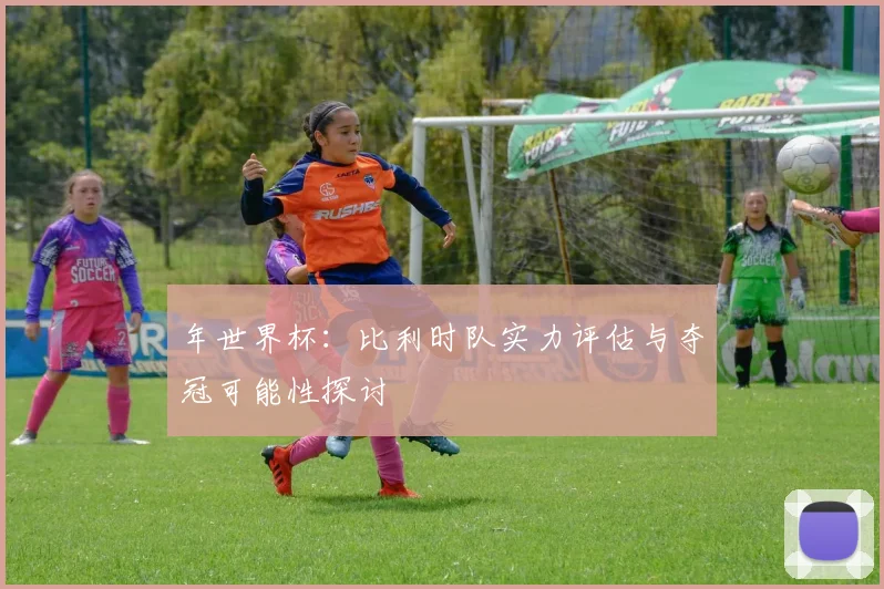 年世界杯：比利时队实力评估与夺冠可能性探讨